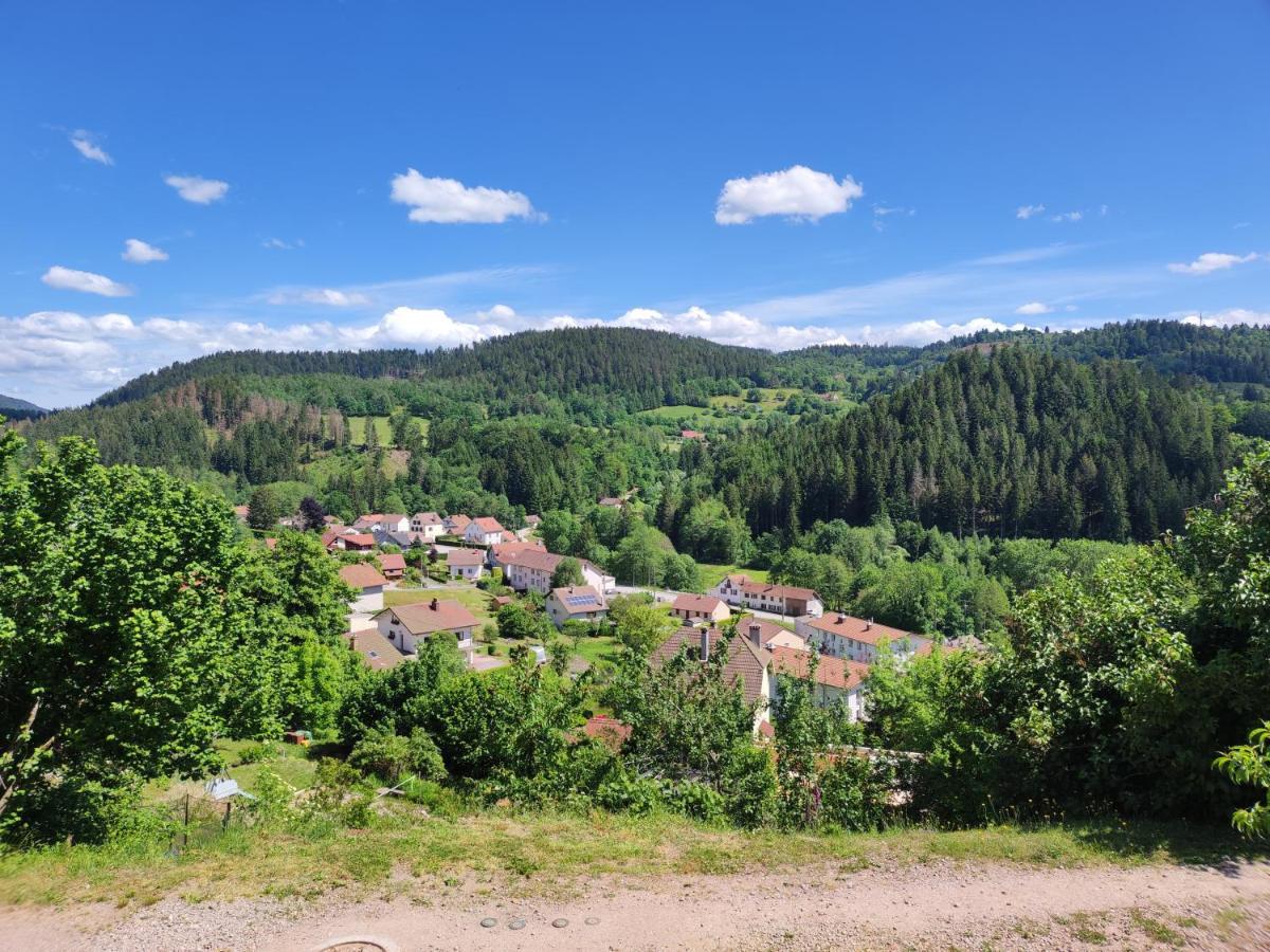 Appartement Au Centre Du Tholy Pour 5 Personnes Maximum Ле-Толи Экстерьер фото